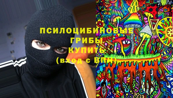 стаф Карталы