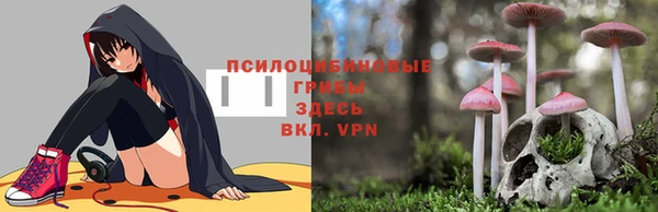стаф Карталы