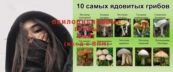 каннабис Каменногорск