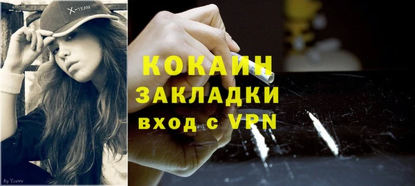 тгк Каменка