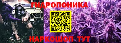 молекула духа Бузулук