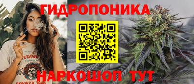 гидра Бийск