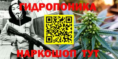 эйфоретик Берёзовский