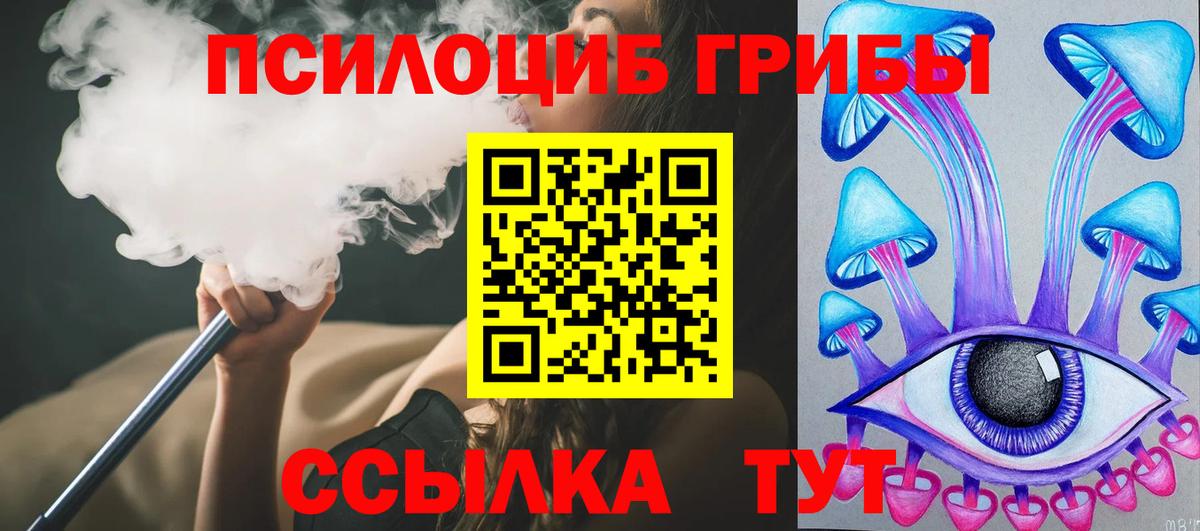Екатеринбург  Псилоцибиновые грибы мицелий  дарнет шоп  Вход с VPN 