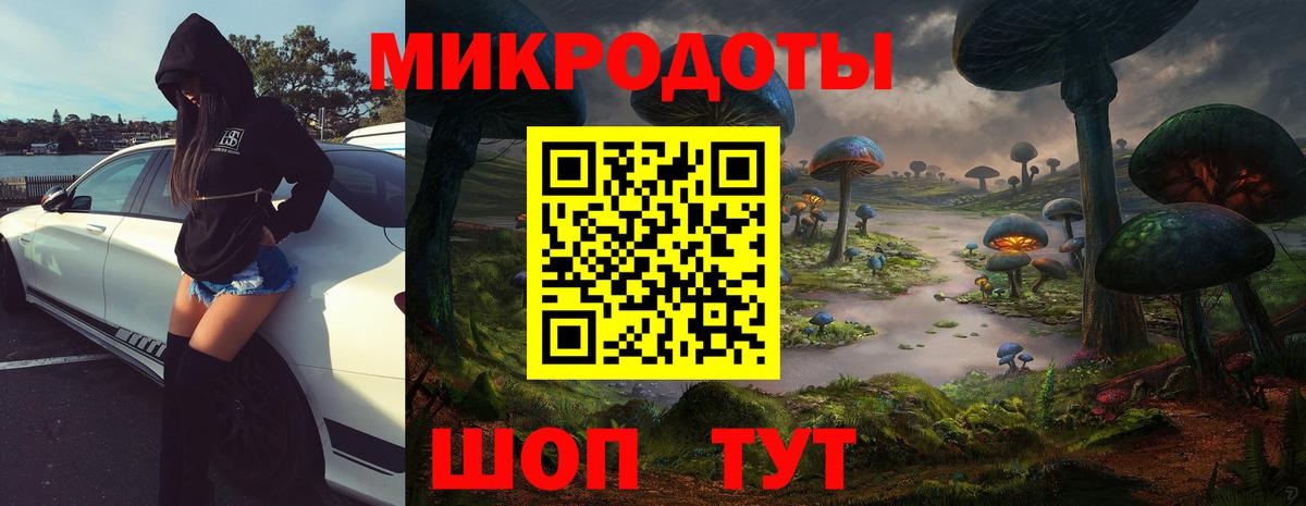 Псилоцибиновые грибы прущие грибы  Екатеринбург 