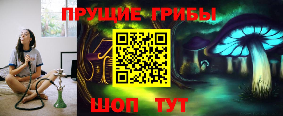 Псилоцибиновые грибы Psilocybine cubensis Екатеринбург